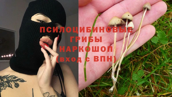 мдпв Заволжье