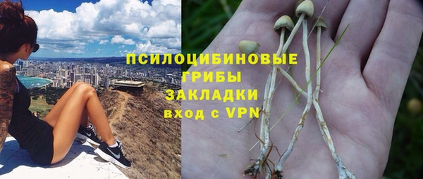 мдпв Заволжье