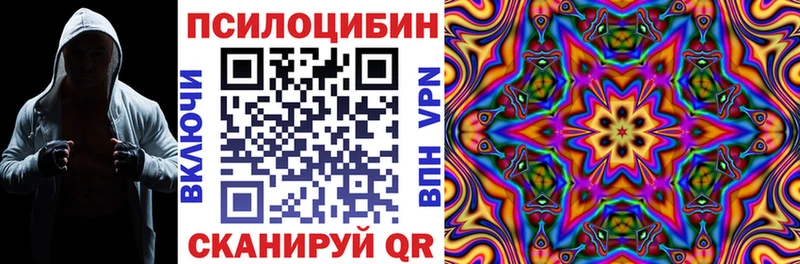 Купить  Радужный  Псилоцибиновые грибы Cubensis 